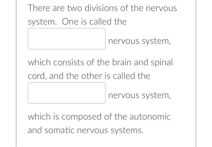 assignment 2.2 divisions of the nervous system