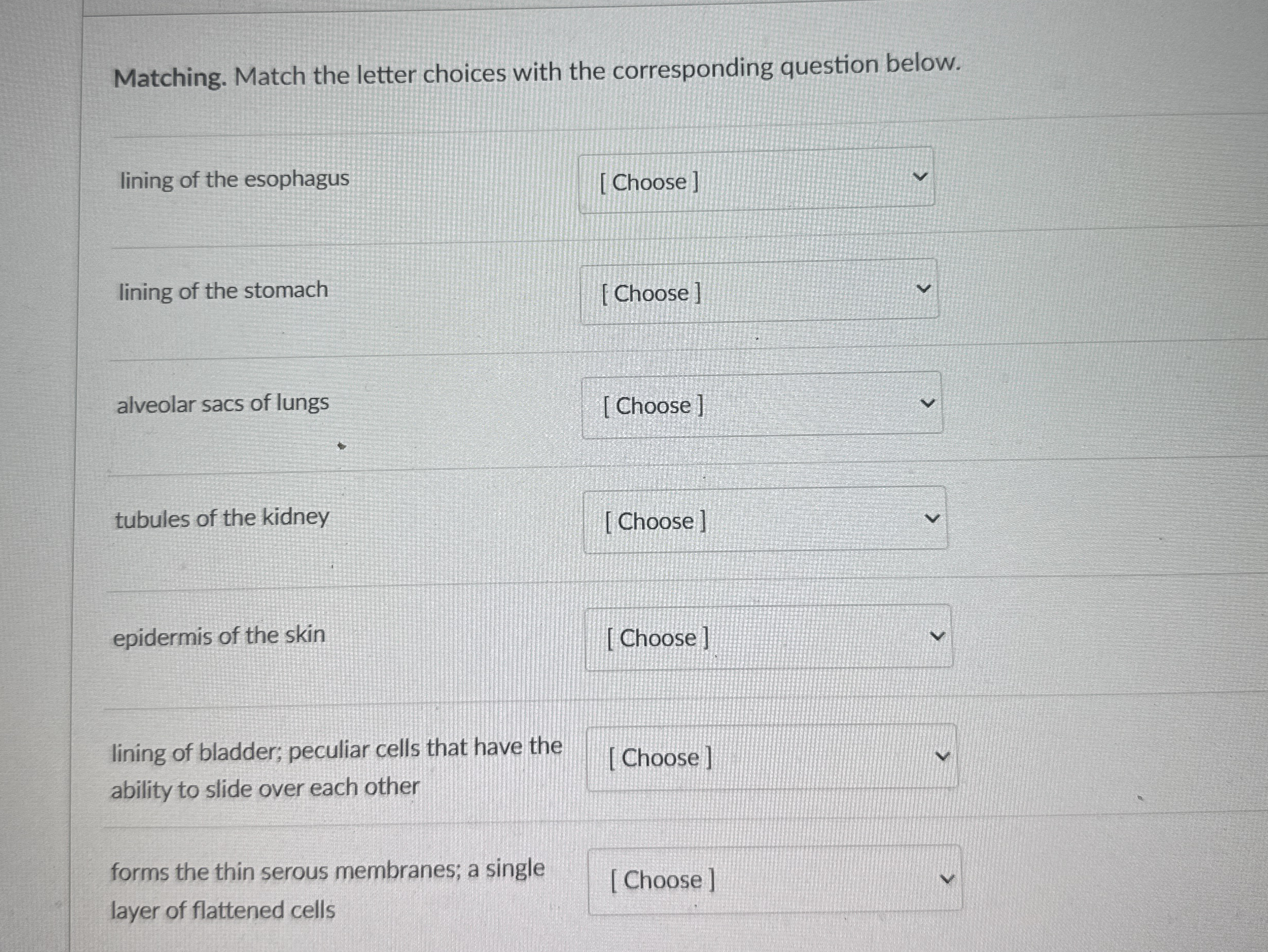 Solved Matching. Match the letter choices with the | Chegg.com