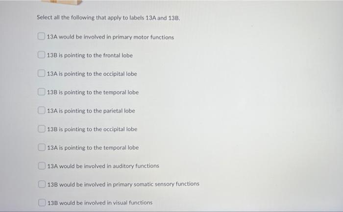 Solved Question 6 (2 points) Answer the following question | Chegg.com