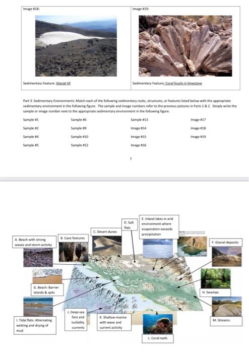 Solved Physical Geology: Sedimentary Rocks and Enviroments | Chegg.com