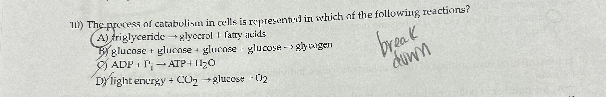 Solved The process of catabolism in cells is represented in | Chegg.com
