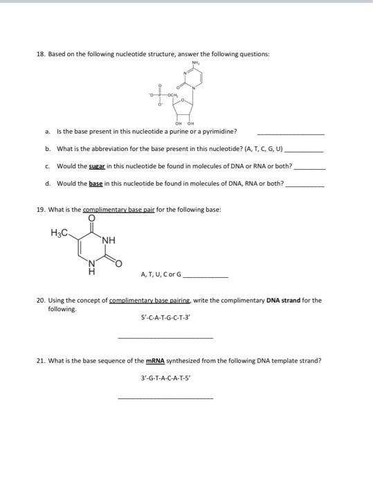 Solved 18. Based on the following nucleotide structure, | Chegg.com