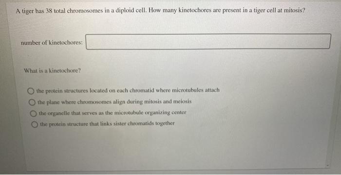 Solved A tiger has 38 total chromosomes in a diploid cell. | Chegg.com