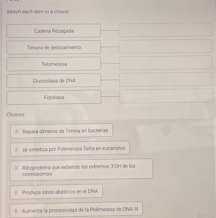 Match each item to a choice: Cadena Rezagada Tenaza de deslizamiento Telomerasa Glucosilasa de DNA Fotoliasa Choices: :: Rep