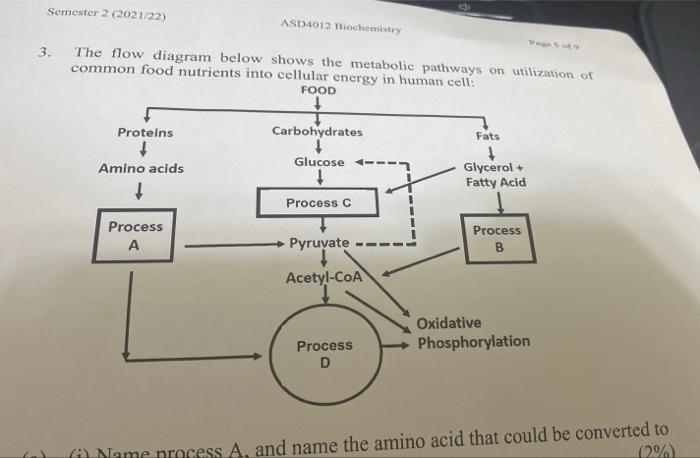 Solved Semester 2 (2021/22) ASD4012 Biochemistry Pansiy 3. | Chegg.com