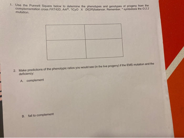 1. Use the Punnett Square below to determine the | Chegg.com