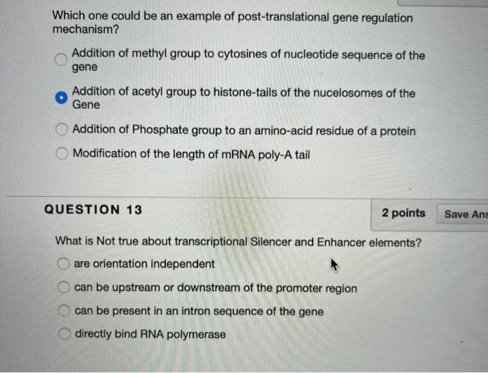 Solved Which One Could Be An Example Of Post-translational | Chegg.com