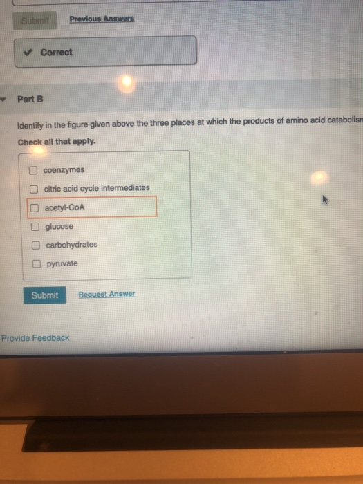 Solved Identity in the figure given below the stages in the | Chegg.com