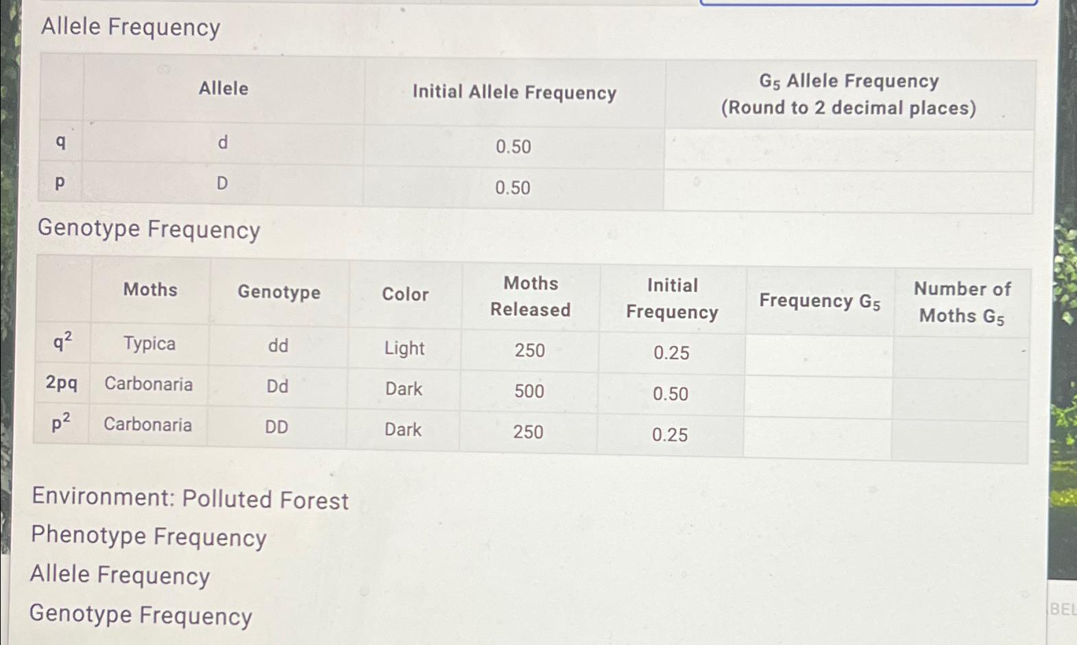 Unraveling The Mystery 5Th Generation Allele Frequency Calculation - 4h8pjcw