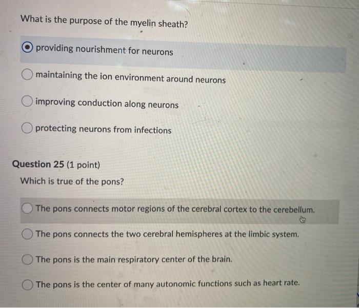 Solved What is the purpose of the myelin sheath? providing | Chegg.com