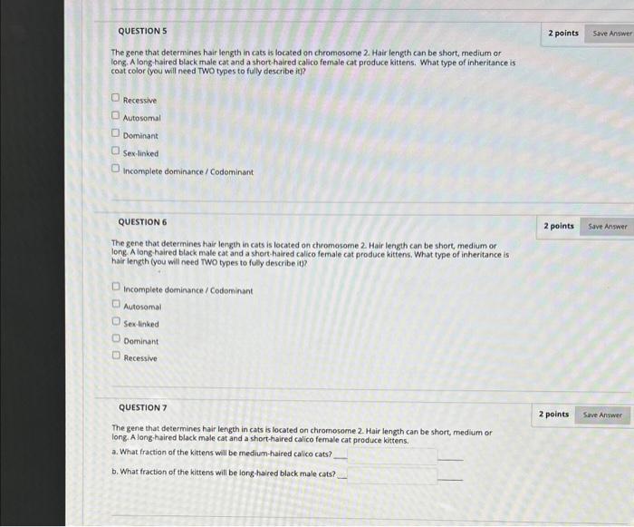 The gene that determines hair length in cats is