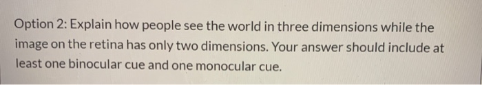 Solved Option 2: Explain how people see the world in three | Chegg.com