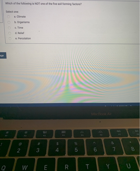 Which Of The Following Is Not One Of The Five Primary Soil Forming Factors