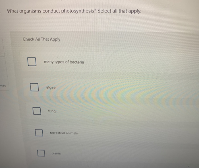 Solved What organisms conduct photosynthesis? Select all | Chegg.com