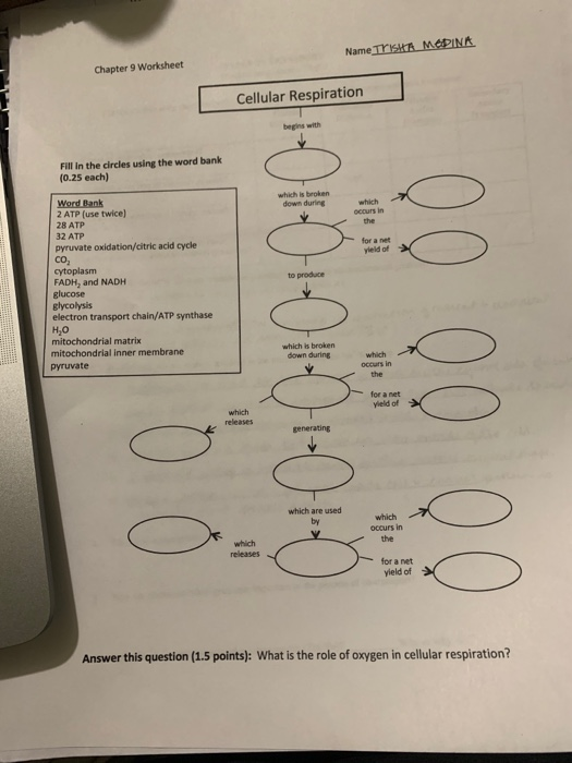 Name Trsha Mea Chapter 9 Worksheet Cellular Chegg 