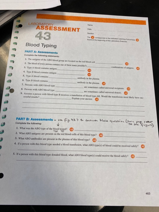 Solved Question LABORATORY ASSESSMENT Name Date Section 43