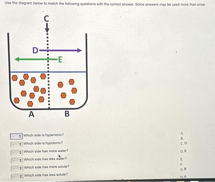 Solved Use the diagram below to match the following | Chegg.com
