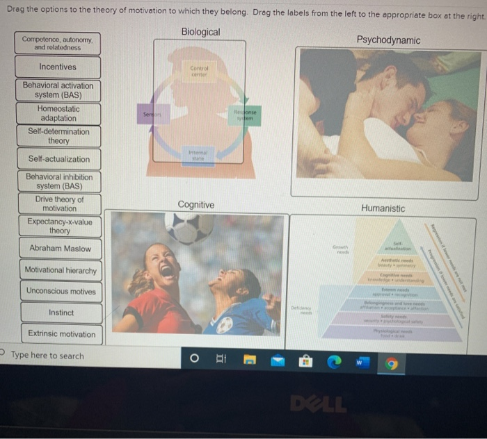 Solved Drag the options to the theory of motivation to which | Chegg.com