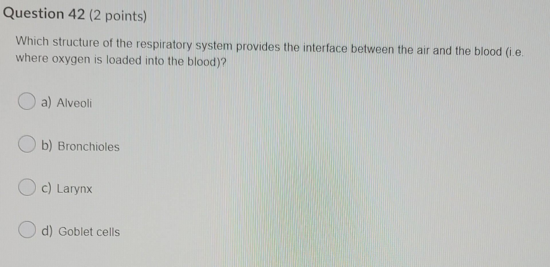 Solved Question 42 (2 points) Which structure of the | Chegg.com
