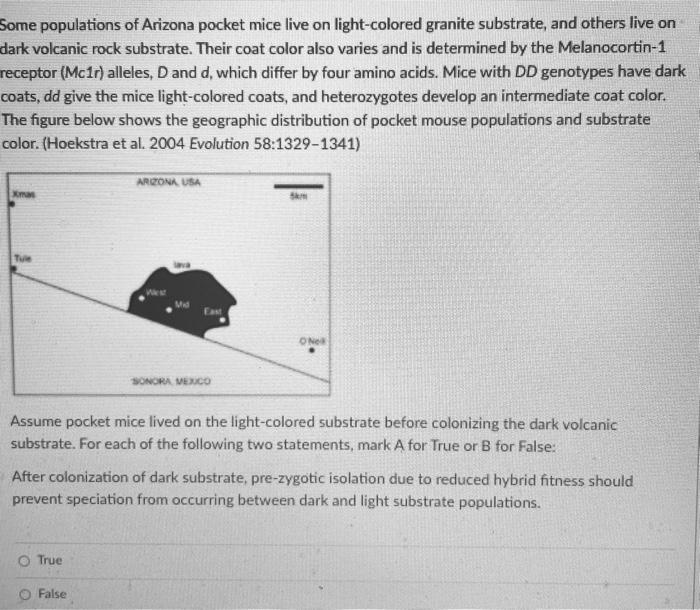 Solved Some populations of Arizona pocket mice live on | Chegg.com