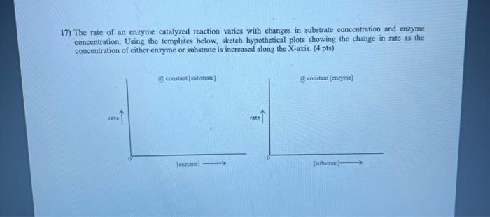 Solved 17) The rate of an enzyme catalyzed reaction varies | Chegg.com