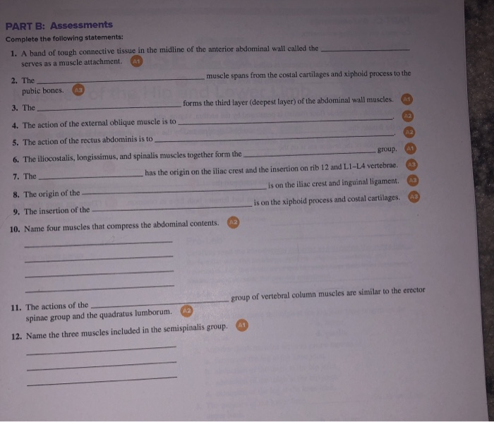 Solved PART B: Assessments Complete The Following | Chegg.com