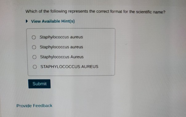 solved-which-of-the-following-represents-the-correct-format-chegg