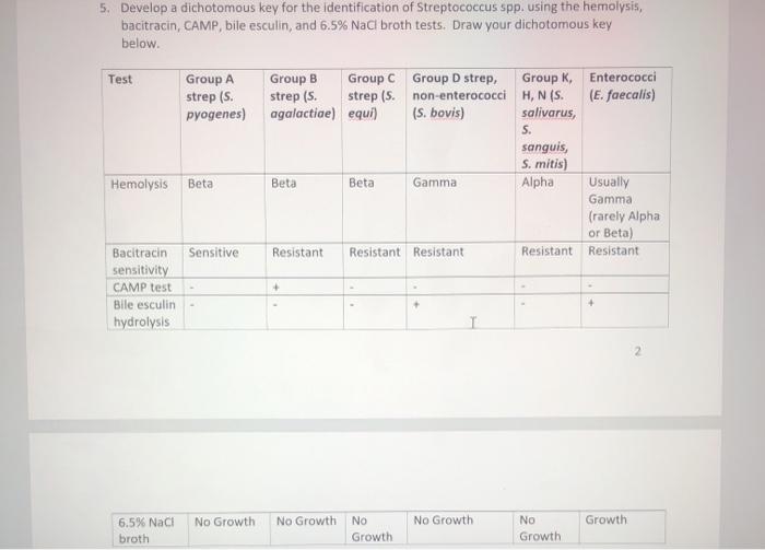 A) The CAMP test for identification of Group B streptococcus