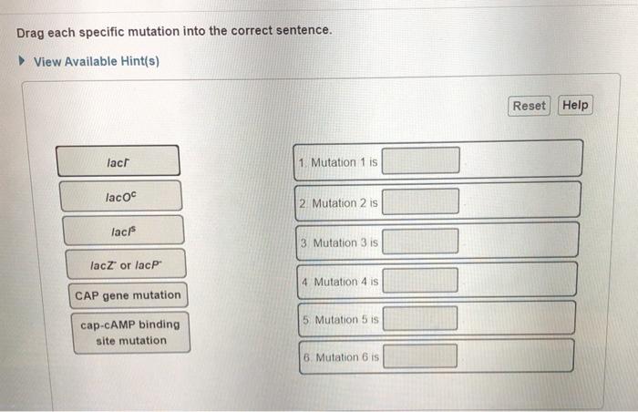 Solved Drag each specific mutation into the correct | Chegg.com