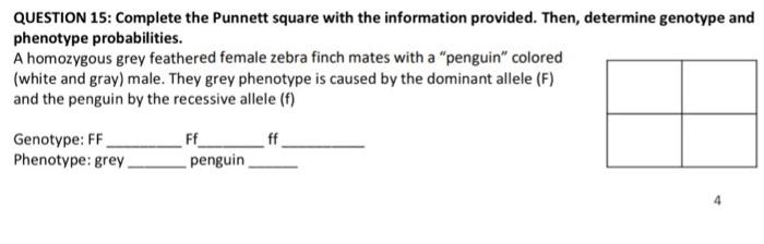 Solved QUESTION 15: Complete the Punnett square with the | Chegg.com