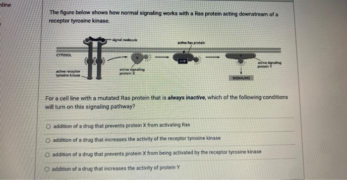 Solved The figure below shows how normal signaling works | Chegg.com