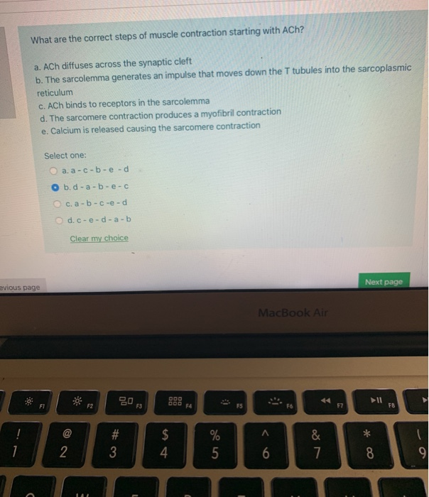 Solved What are the correct steps of muscle contraction | Chegg.com
