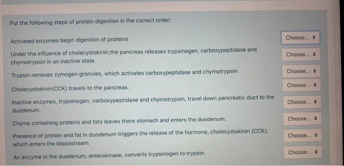 Solved Put the following steps of protein digestion in the | Chegg.com