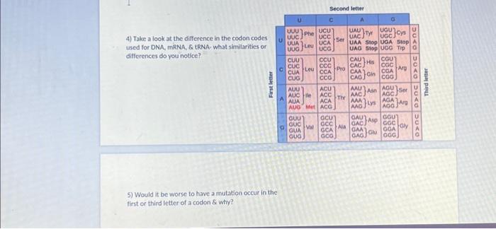 Solved 4) Take a look at the difference in the codon codes | Chegg.com