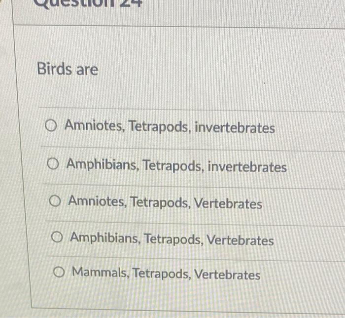 Solved Birds Are Amniotes, Tetrapods, Invertebrates | Chegg.com