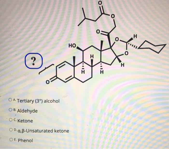 Solved O O H No H N H11 I O A Tertiary 3º Alcohol Chegg Com