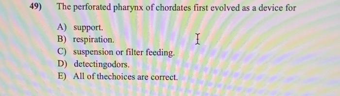 49)
The perforated pharynx of chordates first evolved as a device for
I
A) support.
B) respiration
C) suspension or filter fe