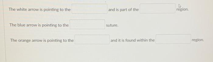 Solved Using The Below Diagram, Provide The Missing | Chegg.com