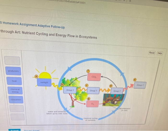 18+ Learning Through Art Nutrient Cycling And Energy Flow In Ecosystems ...