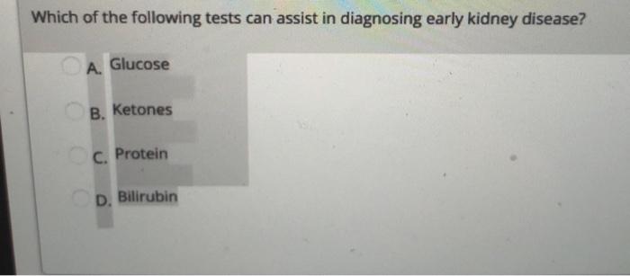 Which of the following tests can assist in diagnosing early kidney disease? A. Glucose B. Ketones C. Protein D. Bilirubin