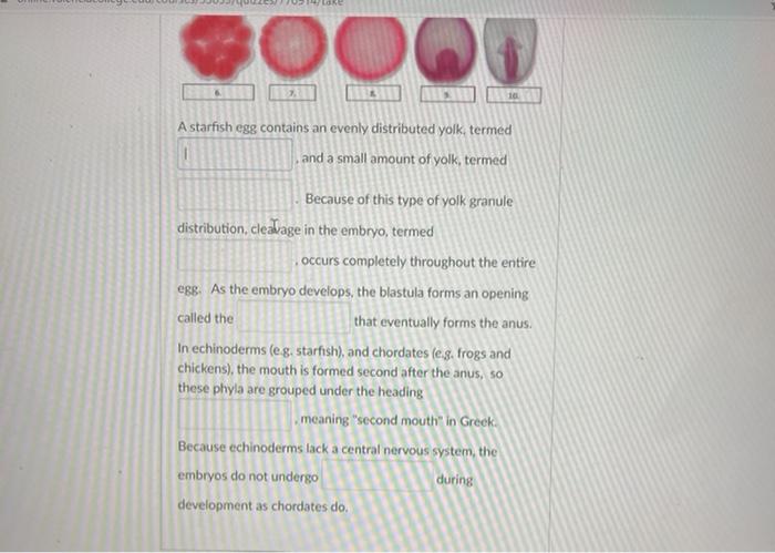 Amount of yolk and its distribution are changed in the egg. Which one is  affected