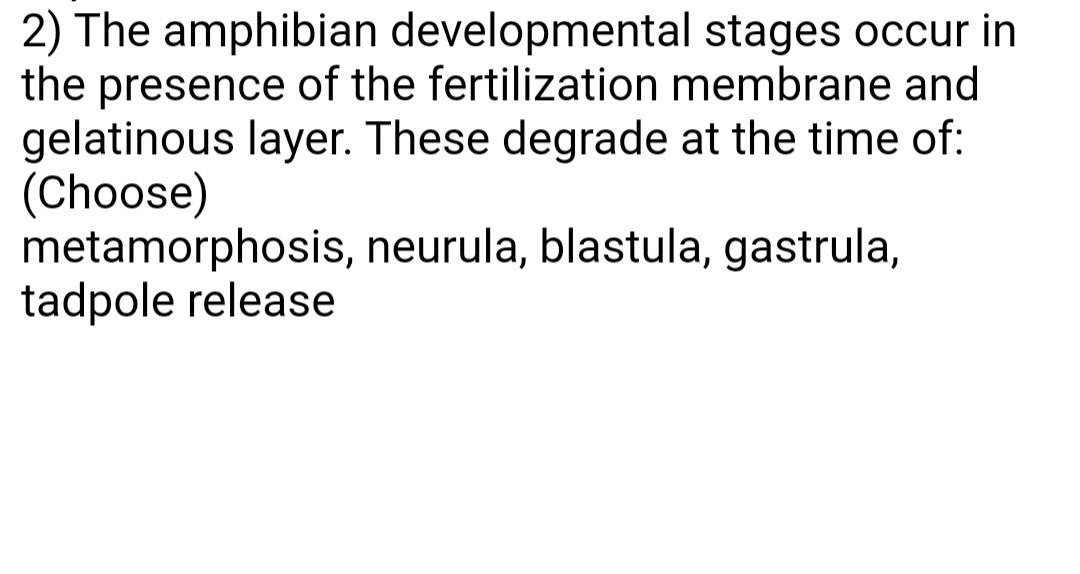 2) The amphibian developmental stages occur in the