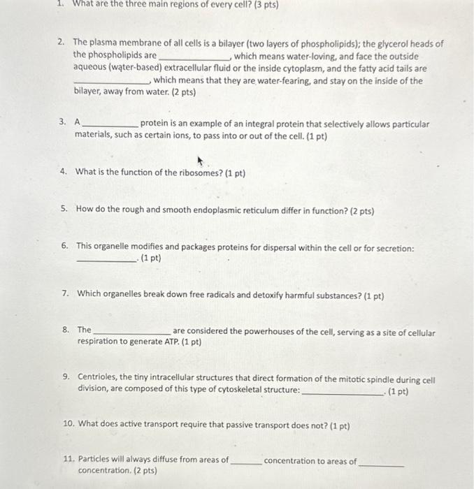 Solved 2. The plasma membrane of all cells is a bilayer (two | Chegg.com