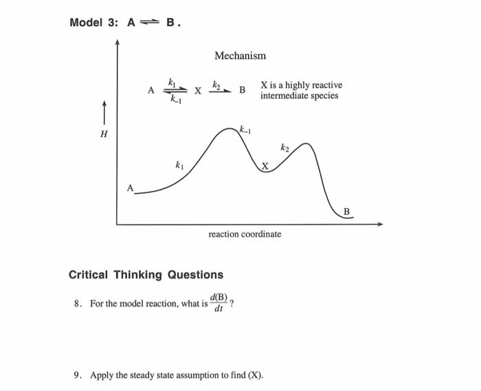 Solved Model 3: A⇌B. Critical Thinking Questions 8. For The | Chegg.com