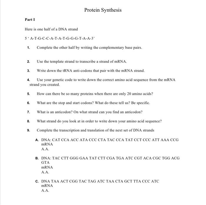 Solved Protein Synthesis Part 1 Here is one half of a DNA | Chegg.com