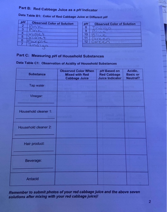 Solved Part B Red Cabbage Juice as a pH Indicator Data
