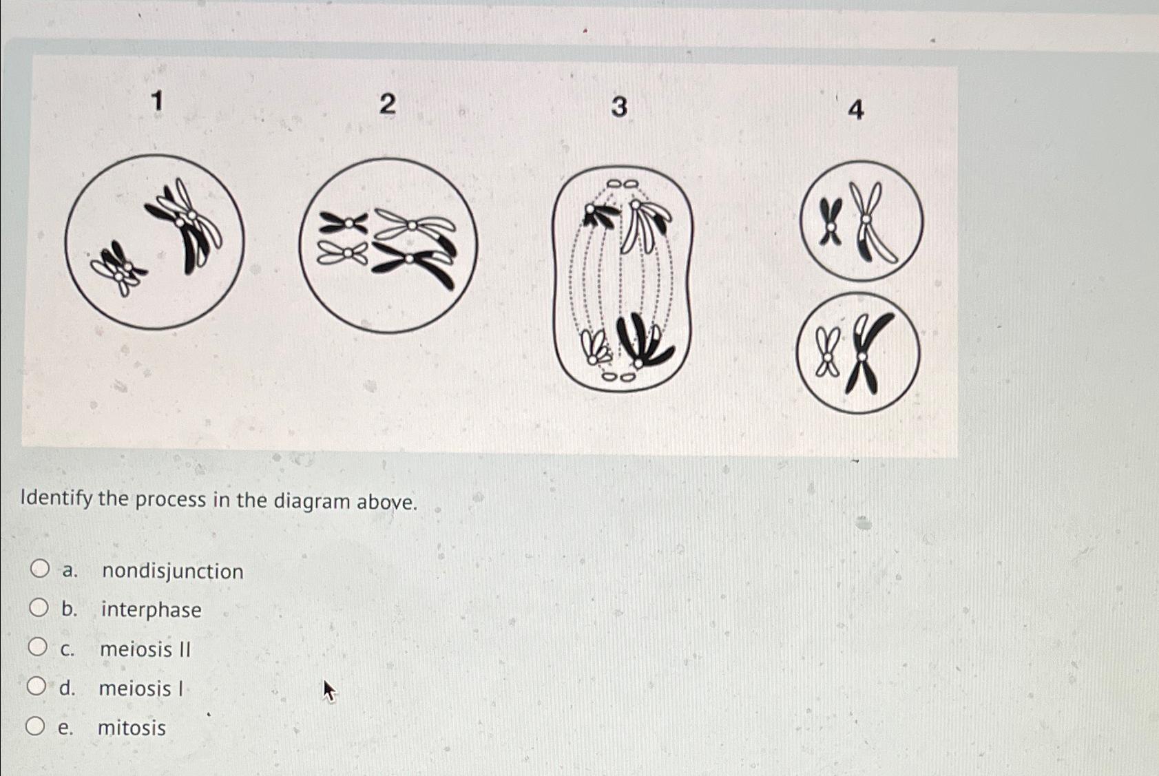 Solved Identify the process in the diagram above.a. | Chegg.com