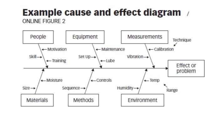 Solved The Cause and Effect diagram posted is an example but | Chegg.com