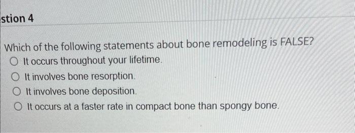 Solved Which of the following statements about bone | Chegg.com