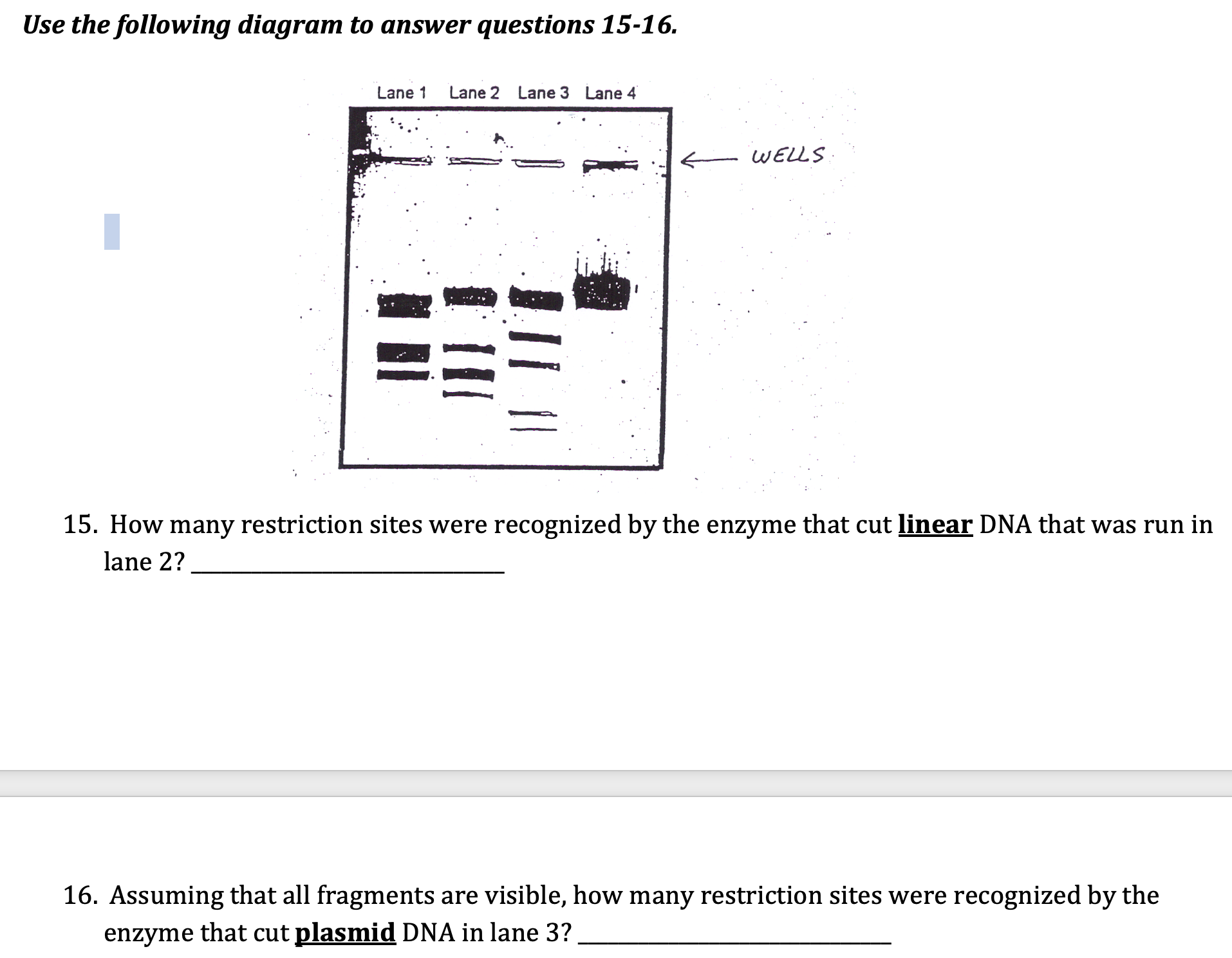 Solved Use the following diagram to answer questions | Chegg.com